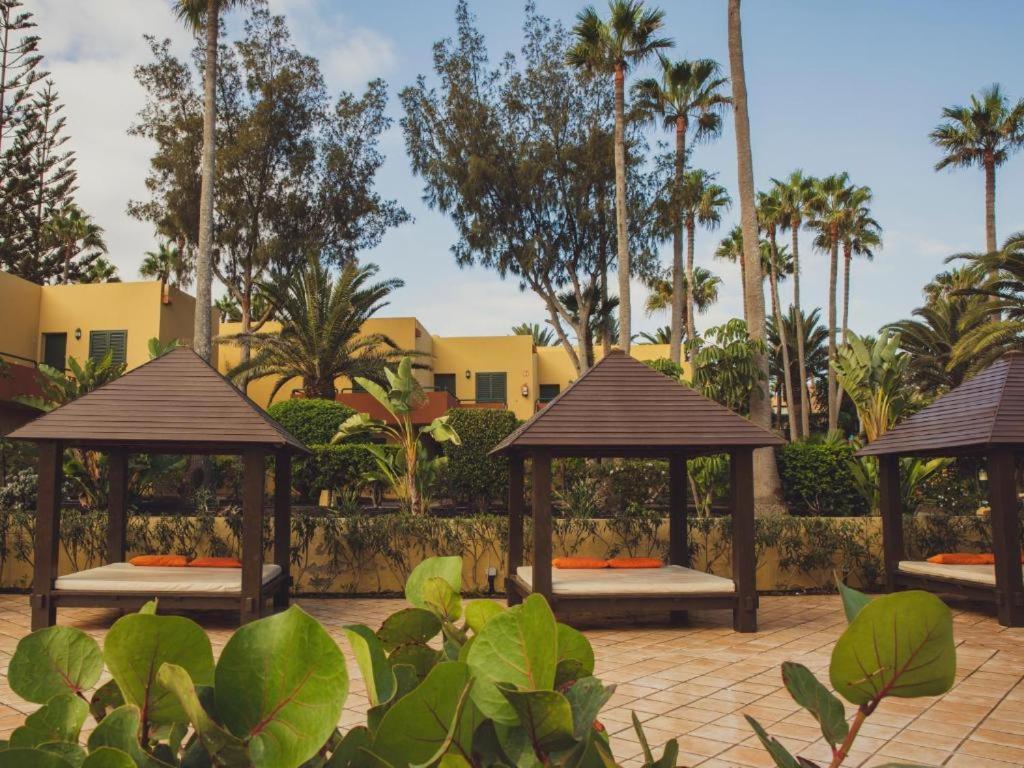 Pachi Beach Atlantic Garden Corralejo Eksteriør bilde