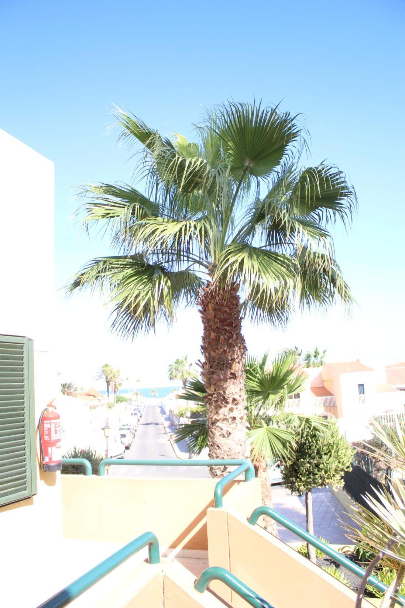 Pachi Beach Atlantic Garden Corralejo Eksteriør bilde